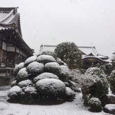 客殿雪化粧